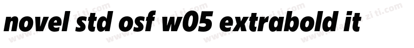 novel std osf w05 extrabold it字体转换